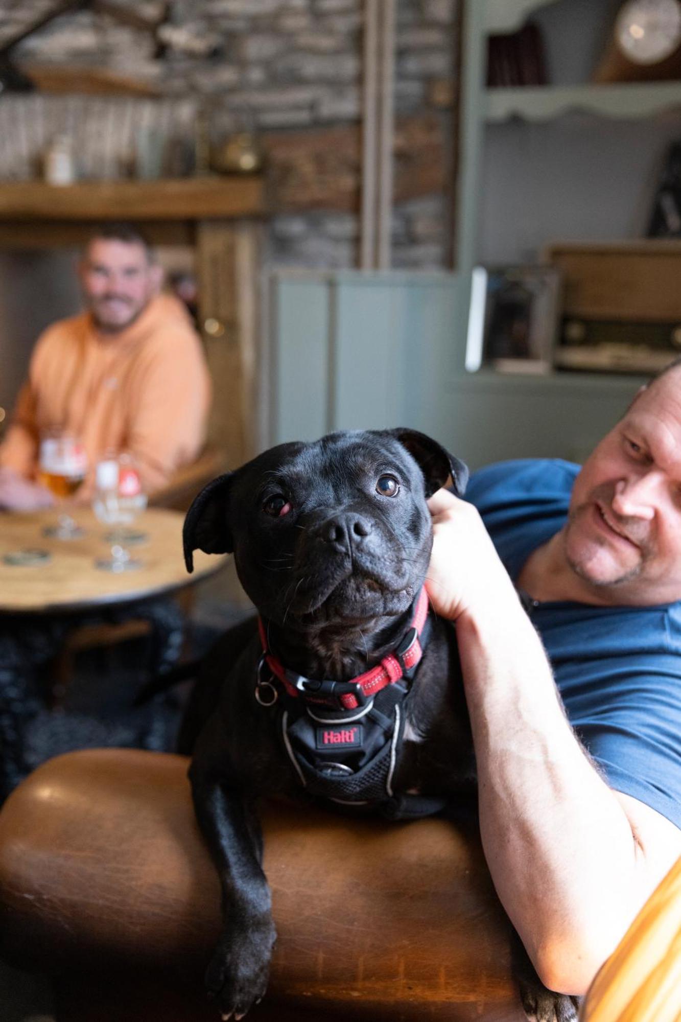 The Bear Inn Llantrisant  Buitenkant foto